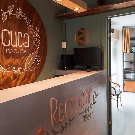 Hostal Cuca Macuca Puerto Morelos Zewnętrze zdjęcie